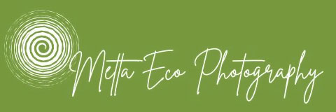 Metta Eco Photography Logo